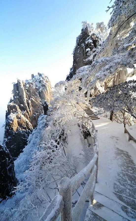 Xishan Wutong Qinyuan Montanhas Montanhas Huangshan Exterior foto