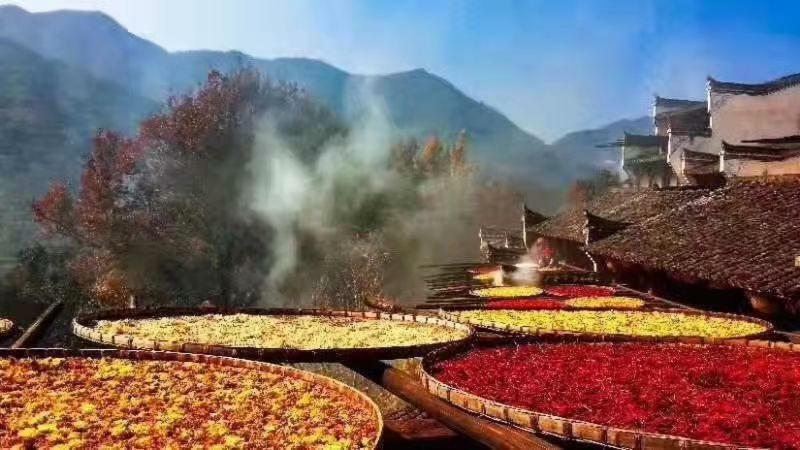 Xishan Wutong Qinyuan Montanhas Montanhas Huangshan Exterior foto