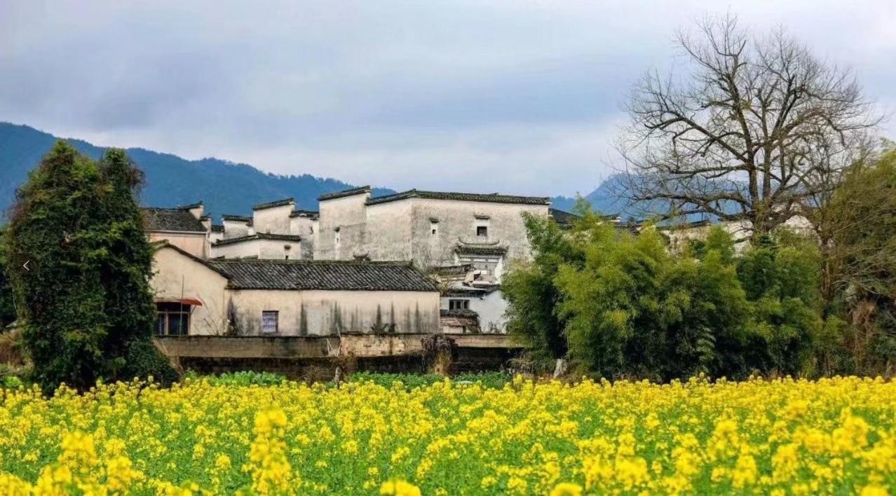 Xishan Wutong Qinyuan Montanhas Montanhas Huangshan Exterior foto