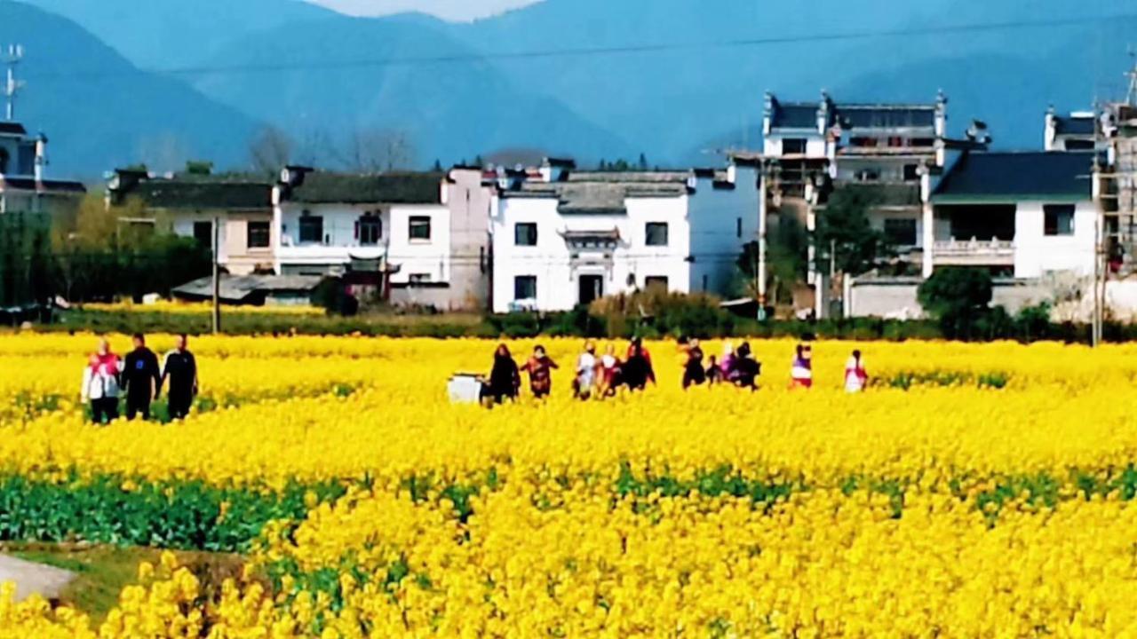 Xishan Wutong Qinyuan Montanhas Montanhas Huangshan Exterior foto