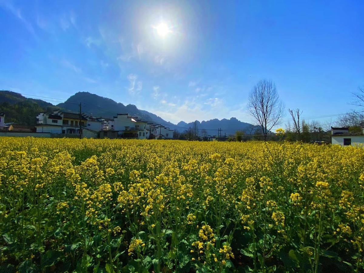 Xishan Wutong Qinyuan Montanhas Montanhas Huangshan Exterior foto