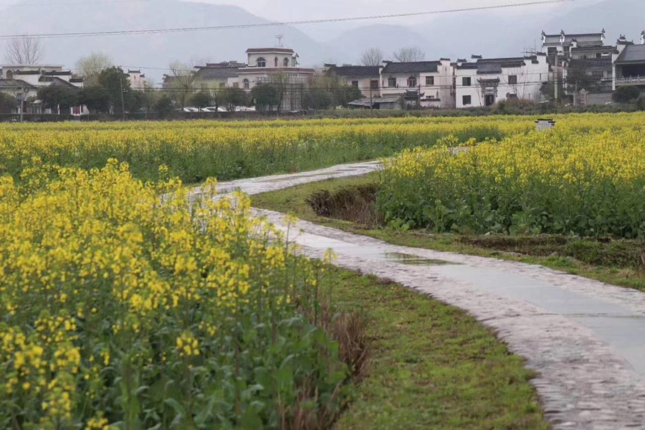 Xishan Wutong Qinyuan Montanhas Montanhas Huangshan Exterior foto