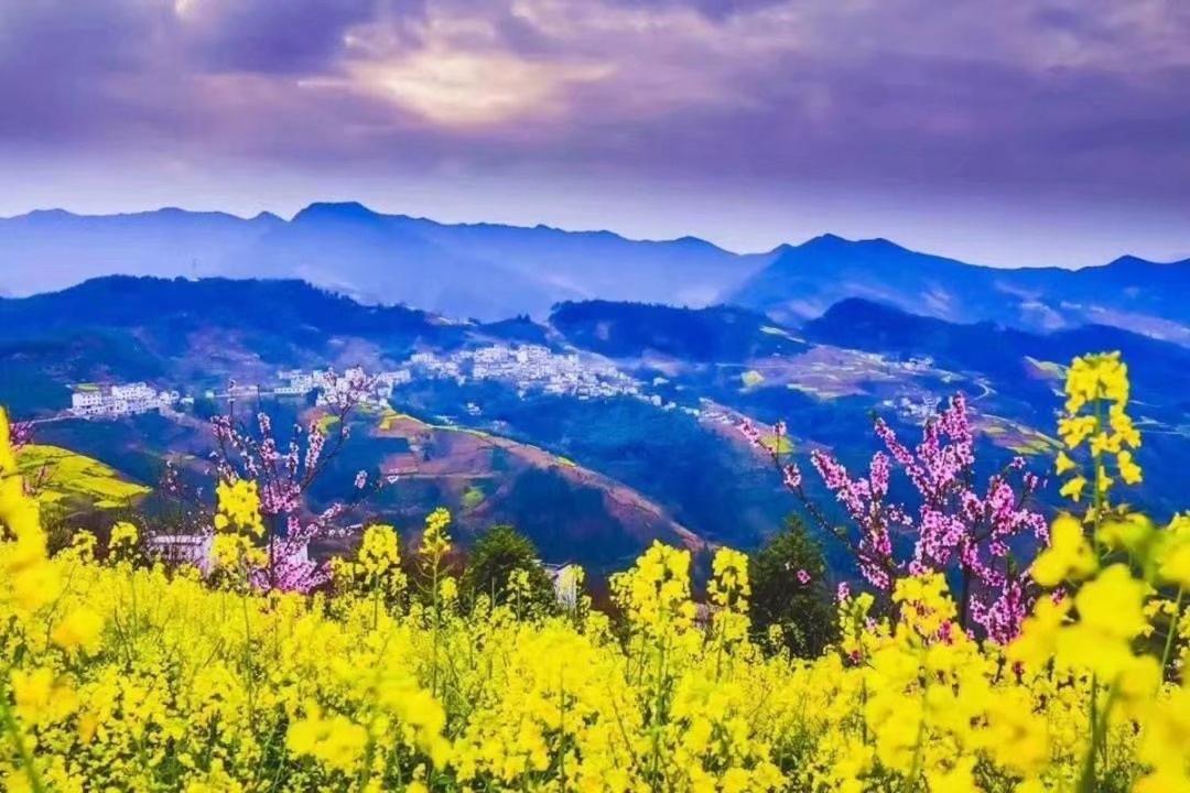 Xishan Wutong Qinyuan Montanhas Montanhas Huangshan Exterior foto